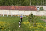 2025-SkH- (33)