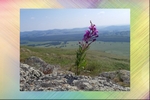 Красота южного Урала