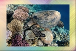 Владычица морская